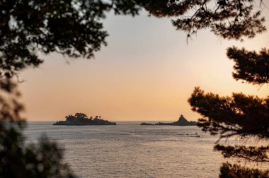 Çam ağaçları tarafından çerçevelenmiş Adriyatik Denizi 'ndeki küçük adaların günbatımında manzarası.