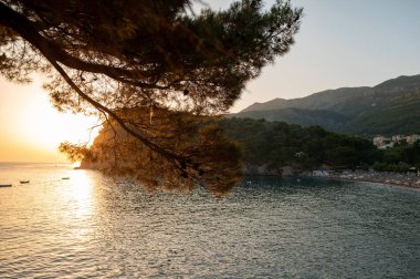 Gün batımında sakin bir körfez üzerinde çam ağaçları ve uzak dağlarla.