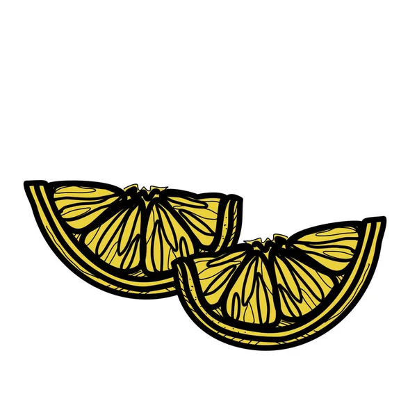 Lemon Esboço Vetor Desenhado Mão Ilustração Isolado Branco — Vetor de Stock