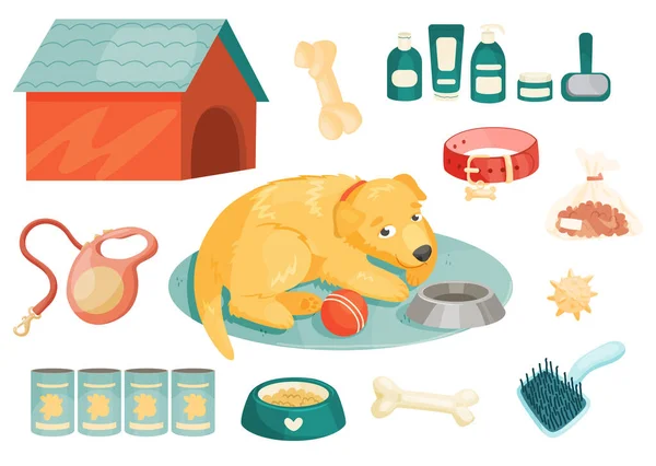 Dog Dog Care Supply Elements Set Vector Cartoon Illustration — Stock Vector