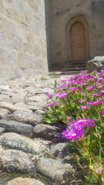 Dışarıdaki taş binaların arasında, yıllık çiçeklerden oluşan canlı bir mor patika sizi gezinmeye ve toprağın doğal güzelliğini keşfetmeye davet ediyor.