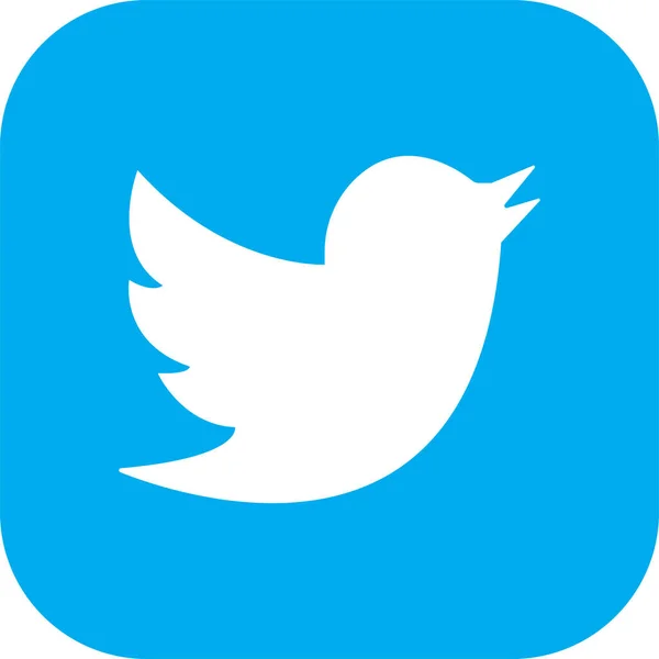 Logo Twitter Bird Logotype Icône Réaliste Des Médias Sociaux Twitter — Image vectorielle