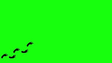 Yeşil ekranda insan ayak izi yürüyüşü animasyonu. 60 santimlik tek kişilik ikon görüntüler. Ayak izleri videosunu imzala. Canlandırılmış insan ayakları 4K basamaklarında.