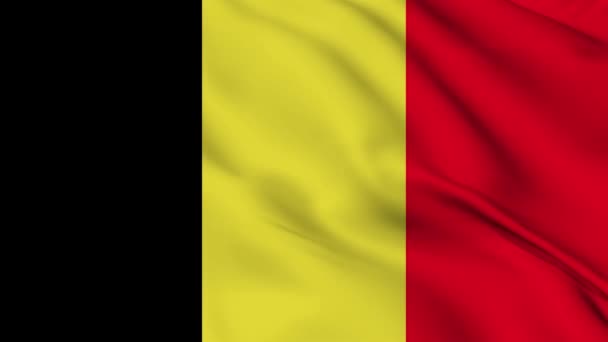 比利时国旗动画背景为4K 独立日快乐 国旗飘扬 爱国主义的象征 旗子运动图形 旗帜飘扬 — 图库视频影像