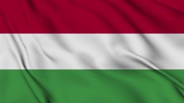 ハンガリーのフラッグアニメーションは 4Kで背景 ハッピー独立記念日旗が掲げられました 愛国主義シンボル フラッグモーショングラフィックス フラッグ移動 — ストック動画