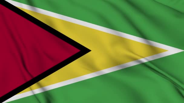 Guiana Bandeira Animação Para Fundo Feliz Dia Independência Bandeira Nacional — Vídeo de Stock