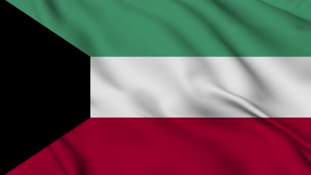 Kuwait Flag Animation Background Happy Independence Day National Flag Waving — Stock Video