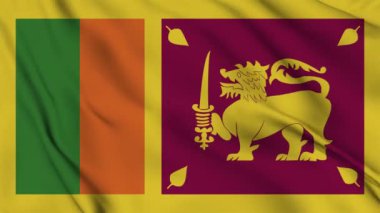 4K 'da Sri Lanka bayrak animasyonu. Mutlu bağımsızlık günleri Sri Lanka ulusal bayrağı dalgalanıyor. Vatanseverlik sembolü. Bayrak hareketi grafikleri. Bayrak hareket ediyor