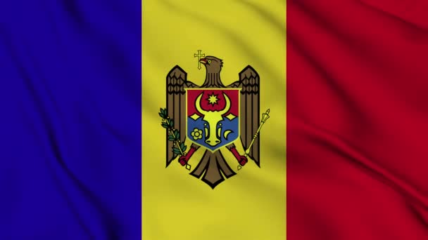 Мультипликация Флага Молдовы Фона Днем Независимости Республики Молдова Размахивая Государственным — стоковое видео