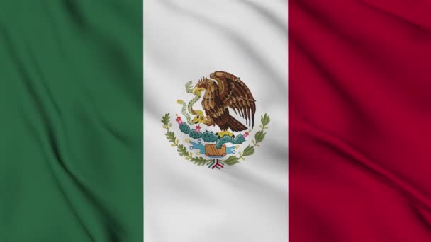 Σημαία Μεξικού Animation Για Φόντο Χαρούμενη Ημέρα Ανεξαρτησίας Εθνική Σημαία — Αρχείο Βίντεο