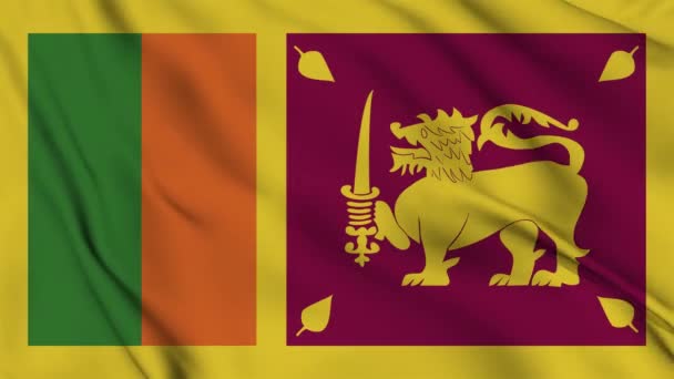 Drapeau Sri Lanka Animation Pour Arrière Plan Joyeuse Fête Indépendance — Video