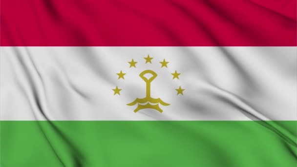 バックグラウンドのためのタジキスタンの旗のアニメーション ハッピー独立記念日 タジキスタン国旗が掲げられています 愛国主義シンボル フラッグモーショングラフィックス フラッグ移動 — ストック動画