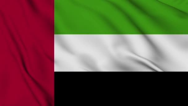 Uae United Arab Emirate Flag Animation Background Happy Independence Day — Stock Video