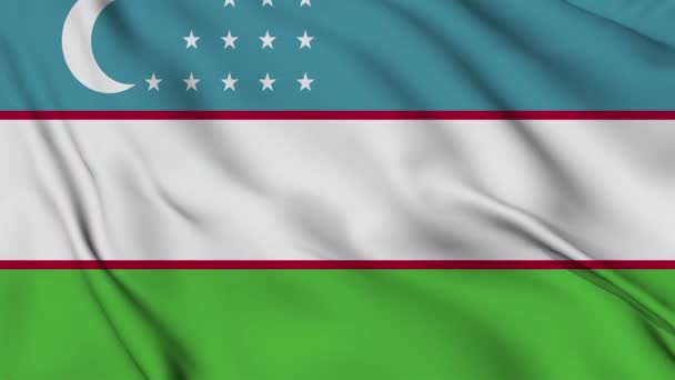 以4K为背景的乌兹别克斯坦国旗动画 独立日快乐 乌兹别克斯坦国旗飘扬 爱国主义的象征 旗子运动图形 旗帜飘扬 — 图库视频影像