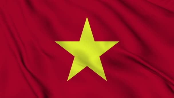 Animation Drapeau Vietnam Pour Arrière Plan Bonne Fête Indépendance Drapeau — Video