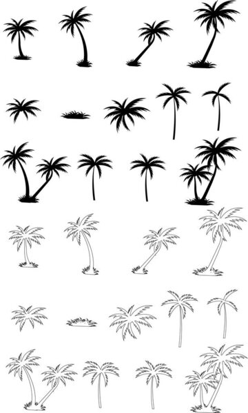 Tropical line and flat palm tree and leaf silhouette set. Black palm tree collection. Design of palm trees for posters, banners and promotional and decoration items group. Vector
