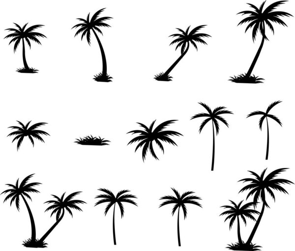 Tropical palm tree and leaf silhouette set. Black palm tree collection. Design of palm trees for posters, banners and promotional and decoration items group. Vector