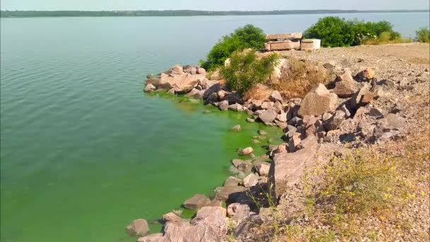 Sungai Dnieper Mekar Air Air Hijau Ganggang Mekar Sungai Ekologi — Stok Video