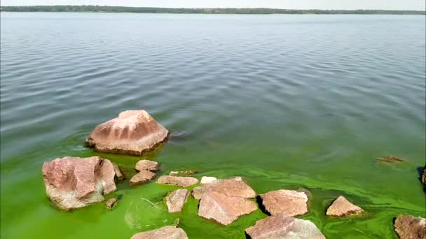 Dnieper 강에서 물고기 죽이기 — 비디오