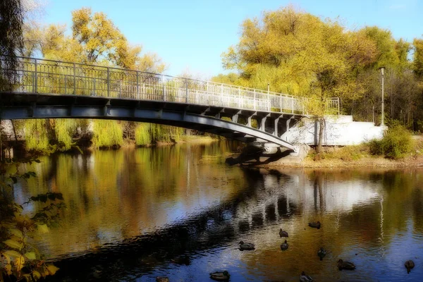 Sonbahar parkında nehir üzerinde köprü, güneşli bir sonbahar günü, sanat işlemesi, sanat bulanıklığı, gürültü eklendi