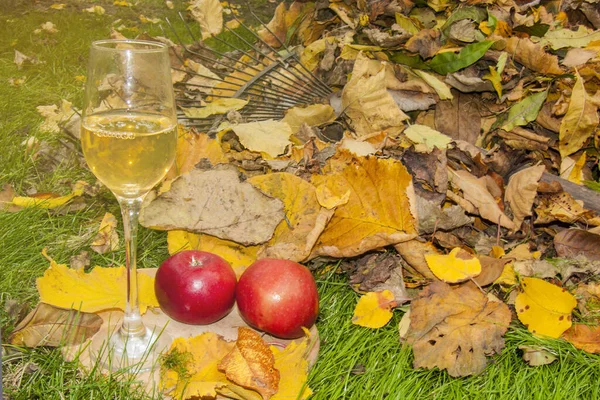 autumn, removing fallen leaves from the lawn, new wine and autumn fruits, red apples with wine, green lawn and fallen leaves