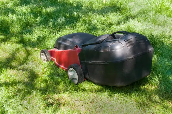 Fotoğraf yeşil bir çimenlikteki robot çim biçme makinesini gösteriyor. Kırmızı ve siyah çim biçme makinesi tek başına çalışıyor, çimlerle ilgileniyor..
