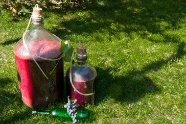 Çimlerin üzerinde şarap olan iki cam şişe, fermantasyon için tüplere bağlı. Güneş ışığı, detayları incele. Kopyalama alanı.