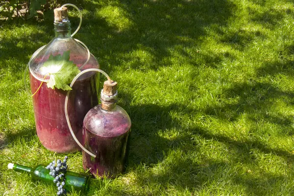 Çimlerin üzerinde üzümlerin yanında iki şişe şarap var. Fermantasyon süreci, güneş ışığı. Kopyalama alanı.