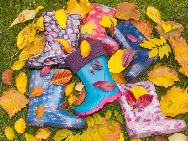 Canlı sonbahar yapraklarıyla bezenmiş beş renkli çocuk lastik botu yeşil çimlerin üzerinde yatıyor. Bu, yağmur mevsiminde çocukluk, neşe ve açık havada oyun ortamı yaratır..