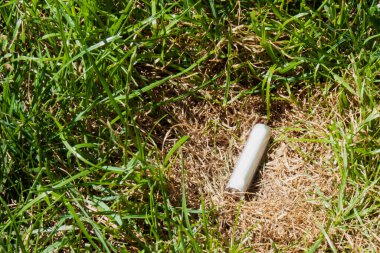 Unutulmuş bir pil çimenlerin üzerinde, çevresel sorunları ve kirliliği simgeliyor. Sorumlu atık yönetiminin ve çevrenin korunmasının önemini vurguluyor.