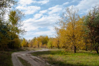 Ağaçların altın ve sarı yapraklarla kaplı olduğu bir sonbahar ormanından geçen dolambaçlı toprak bir yol. Üzerinde beyaz bulutlar uzanan parlak mavi bir gökyüzü..