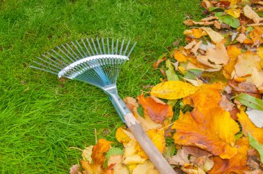 Bir yelpaze, canlı yeşil bir çimenlikte altın sonbahar yapraklarının yanında uzanır. Bahçe bakımı, mevsimlik ev işleri ve düzenliliğin sembolü. Canlı, doğal bir görüntü..