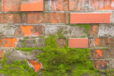 Eklemleri yoğun bir şekilde kaplayan canlı yeşil yosunlu eski bir tuğla duvarın yakın çekimi. Görüntü, doğal yaşlanma, eski moda cazibe ve hoş bir çürüme hissi veriyor. Canlı, doğal..