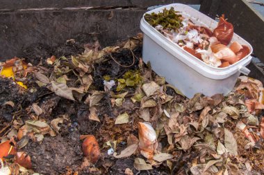 Organik atıklarla dolu açık ahşap bir gübre kutusunun yakın çekimi. Sebze kırıntıları olan plastik bir kova yakınlarda duruyor. Bu resim geri dönüşüm ve ekoloji fikrini iletir.