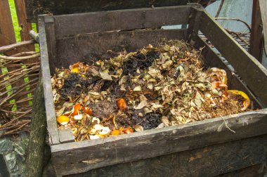 Mutfak artıkları, yapraklar ve diğer organik maddelerle dolu ahşap bir çöp tenekesi. Görüntü geri dönüşüm, çevre bakımı ve dairesel ekonomi fikrini yansıtıyor.
