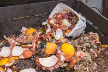 Gübre dolu ahşap bir teneke kutu, taze narenciye kabukları, soğan kabukları ve diğer organik artıklar eklendi. Görüntü geri dönüşüm fikrini ve ekolojik yaşam tarzını aktarıyor..