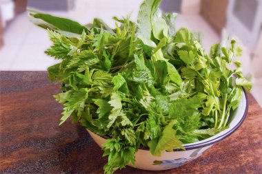 Beyaz bir kasede yeni toplanmış kuş, ısırgan otu ve maydanoz da dahil olmak üzere yakın plan otlar. Bu, sağlıklı yemek, ev yapımı yemek ve doğal malzemeler kavramını yansıtır..