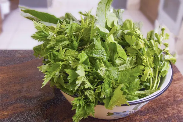 Beyaz bir kasede yeni toplanmış kuş, ısırgan otu ve maydanoz da dahil olmak üzere yakın plan otlar. Bu, sağlıklı yemek, ev yapımı yemek ve doğal malzemeler kavramını yansıtır..