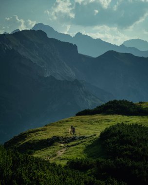 Avusturya 'daki dağların katmanları