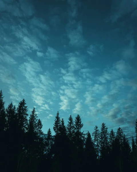 Prachtige Wolken Bossen Zwitserland — Stockfoto