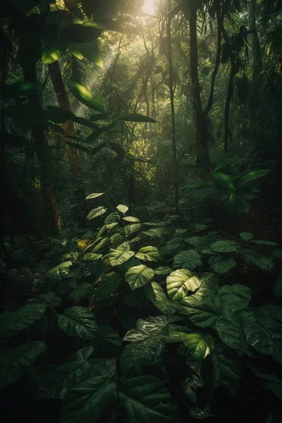 Lumières Feuilles Dans Une Jungle Indonésienne — Photo