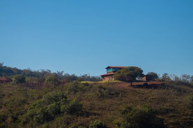 Ormanın güzel manzarası 