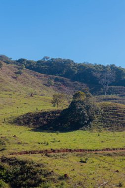 Dağlarda yeşil alan 