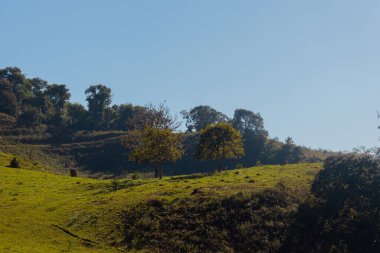 Doğanın güzel manzarası 