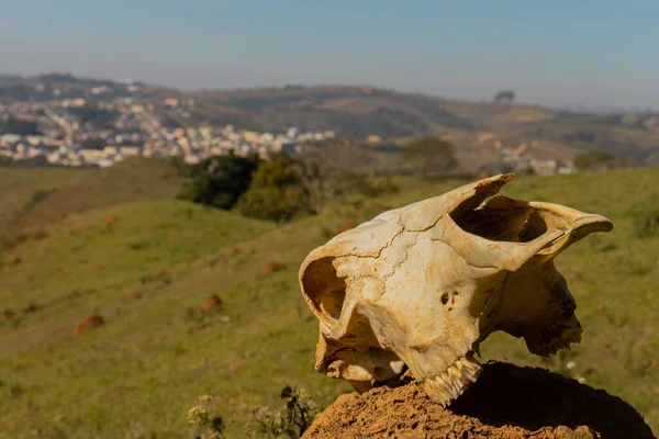 Skull Skull Mountain Valley — Stock Photo, Image