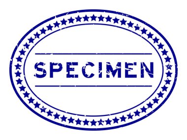 Grunge blue örnek kelime oval lastik mühür beyaz arka planda