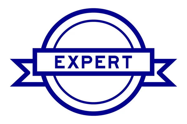 Vintage Blue Color Label Banner Word Expert White Background — Stock Vector