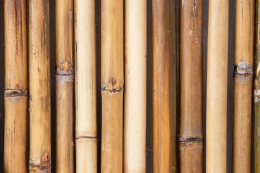 Kopya alanı ile dekorasyon için Grunge sarı bambu plaka desenli arka plan