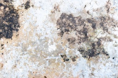 Grunge gri duvar desenli tavan arası tarzı dekorasyon veya tasarım katmanı için siyah lekeli beton duvar