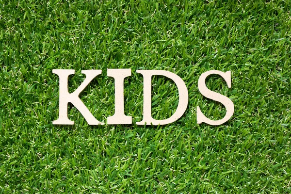 Alfabeto Madeira Letra Palavra Crianças Fundo Grama Verde Artificial — Fotografia de Stock